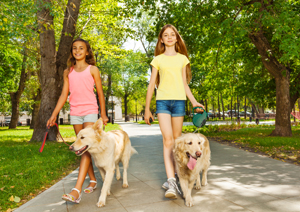 Two pre-teen girls walking dogs